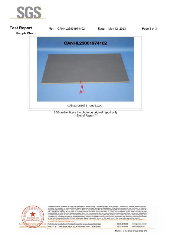 2023SGS9001cc金沙以诚为本家居检测报告英文版